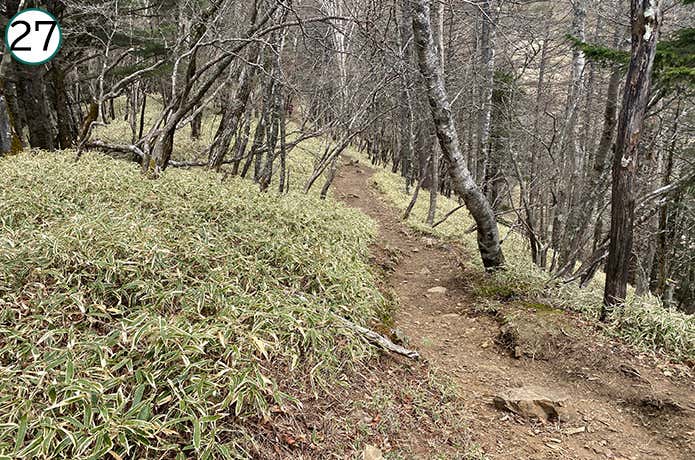 ㉗平坦な登山道