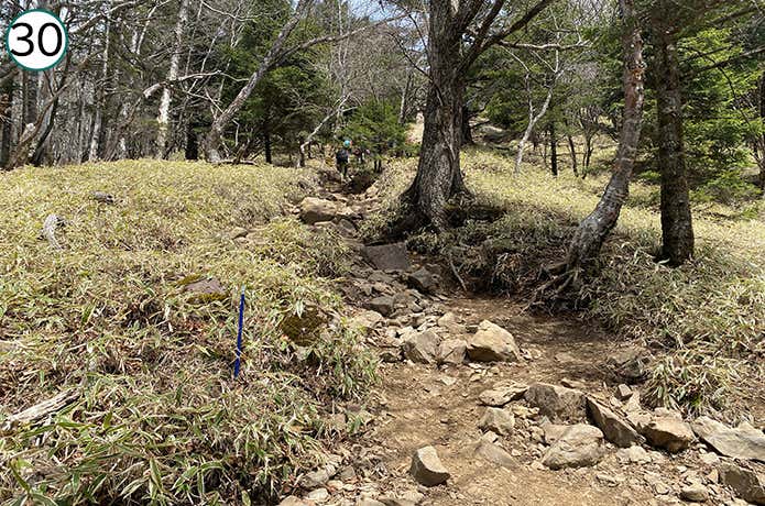 ㉚傾斜が上がる登山道