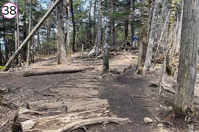 ㊳木で整備された登山道