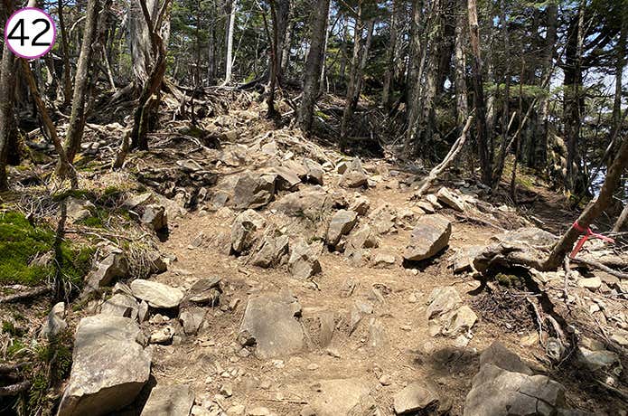 ㊷石がころがる登山道