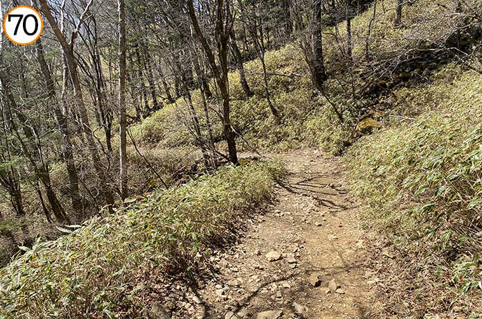 70.蛇行した登山道