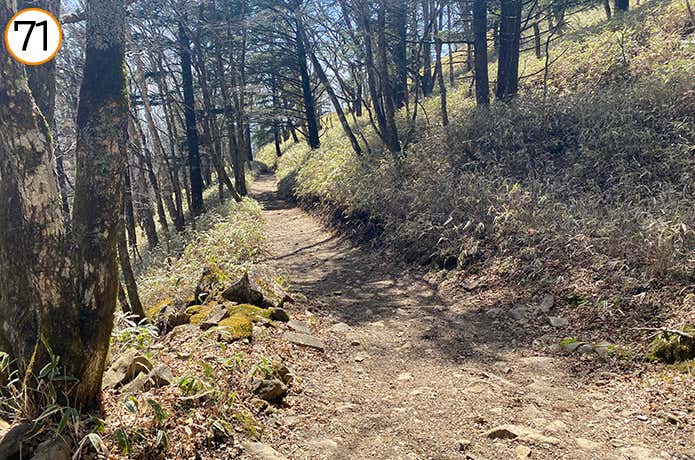 71.負担の少ない下山道
