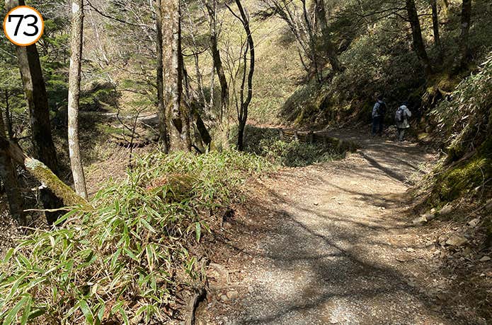 73.苔むした岩のある道