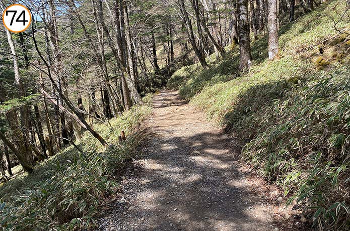 74.真っすぐ伸びた登山道