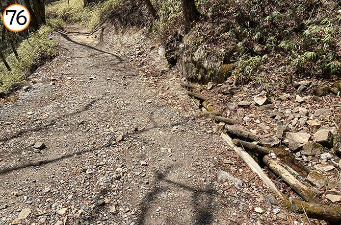 76.小川がせせらぐ登山道