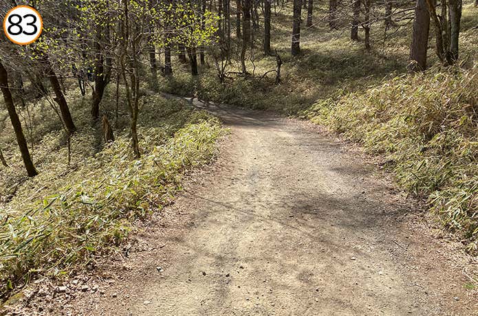 83.ゆるやかな登り道