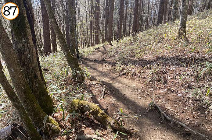 87.上日川峠への登山道