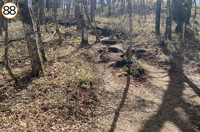88.アップダウンのある登山道