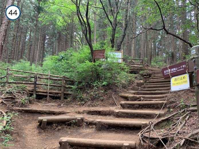 巻道との分岐