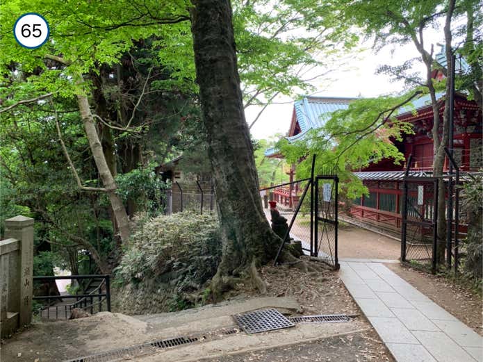 薬王院・本社裏