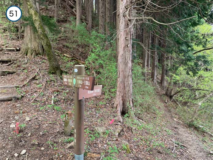 巻道との分岐