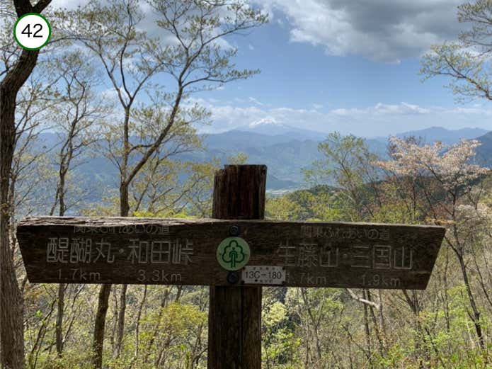富士山を望む道標