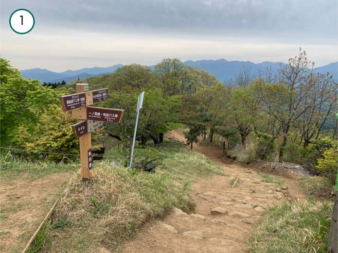 陣馬山からの下り