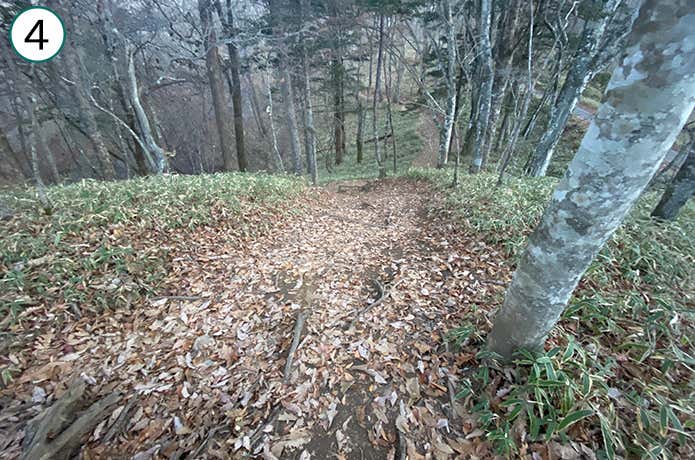 ④アップダウンのある登山道