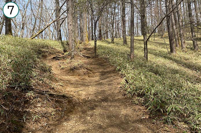 ⑦緩やかに登る登山道