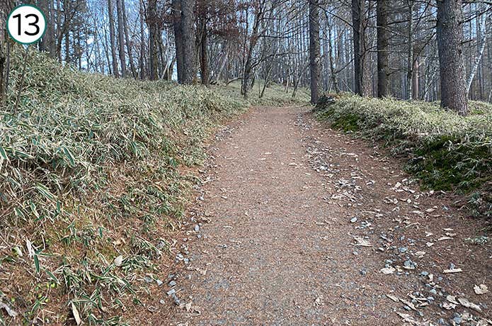 ⑬唐松尾根への序盤の登山道