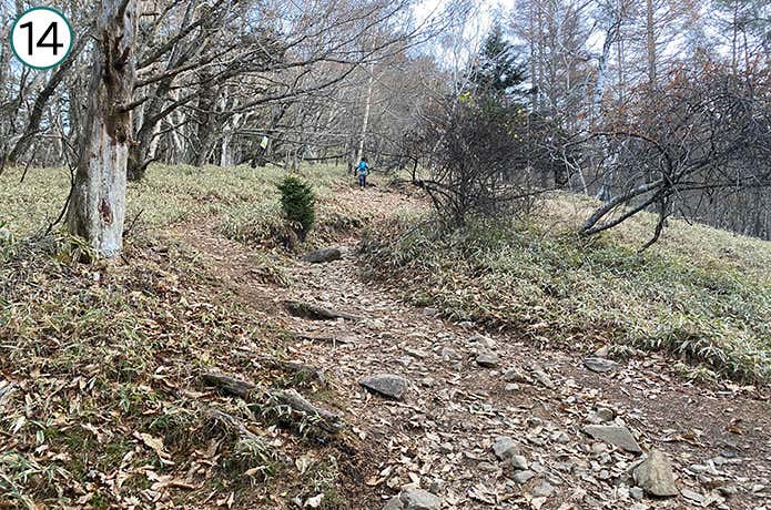 ⑭傾斜が増す登山道
