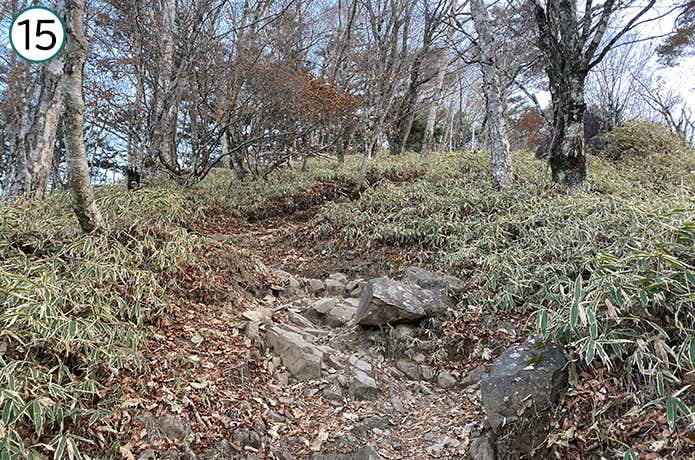 ⑮石がころがっている登山道
