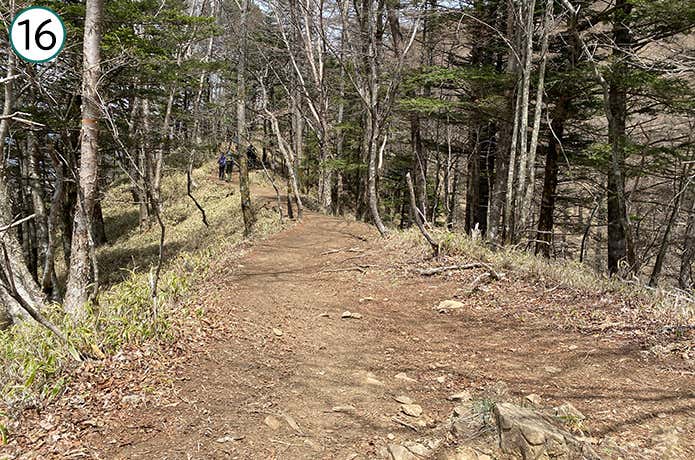 ⑯平坦な登山道