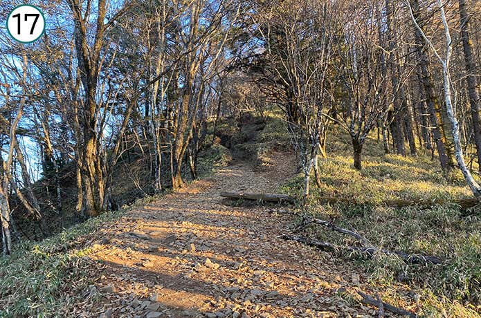 ⑰平坦な道から登り道に