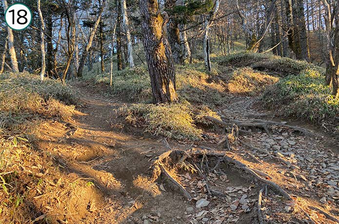⑱二股の登山道