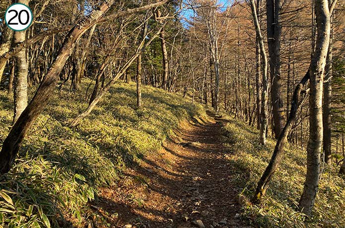 ⑳平坦な登山道