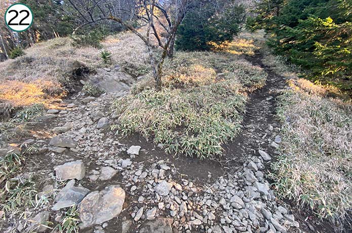 ㉒二股に割れている登山道
