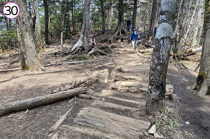 ㉚木道の登山道