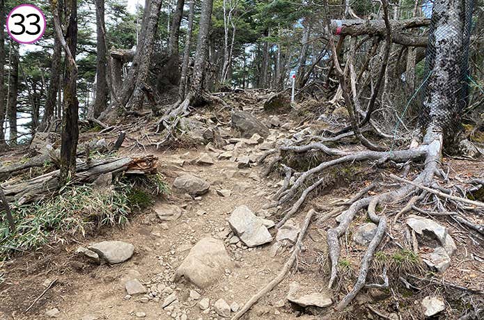 ㉝山頂手前にある登りの登山道