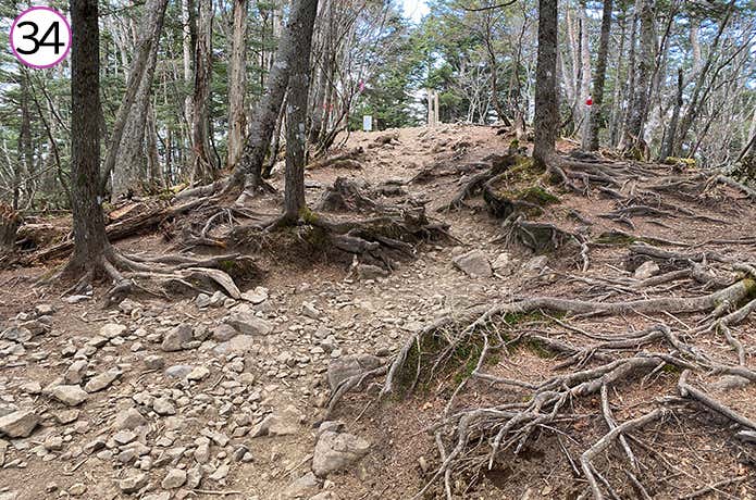 ㉞なだらかになる登山道