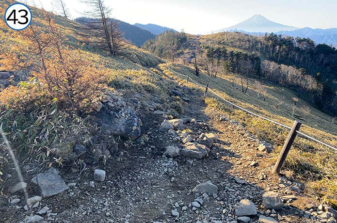 ㊸平坦になった登山道