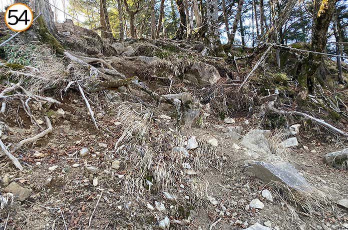 54.大菩薩峠～石丸峠　序盤の登山道