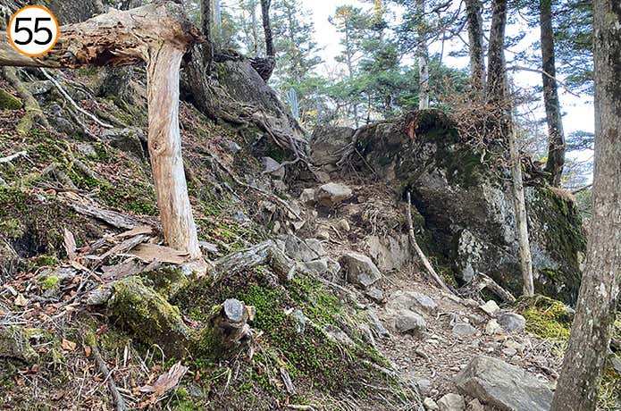 55.序盤の岩がある道