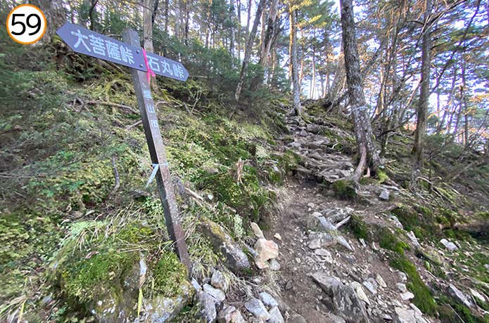 59.苔むした樹林帯
