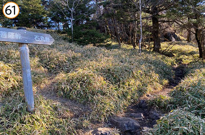 61.熊沢山