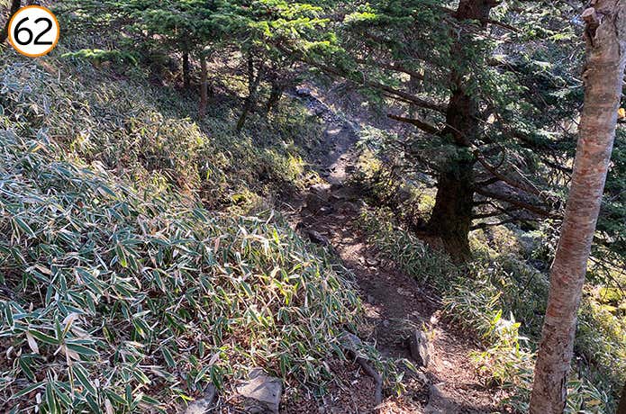62.石丸峠への下り道