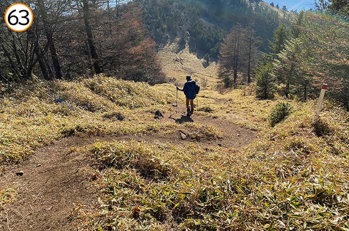 63.石丸峠手前の笹原
