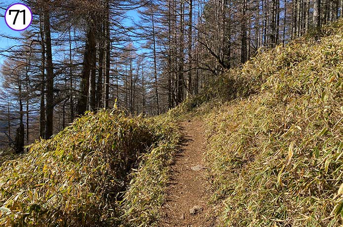 71.ゆるやかな登り道
