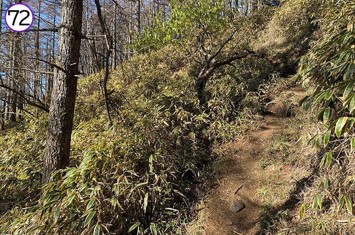 72.アップダウンのある登山道