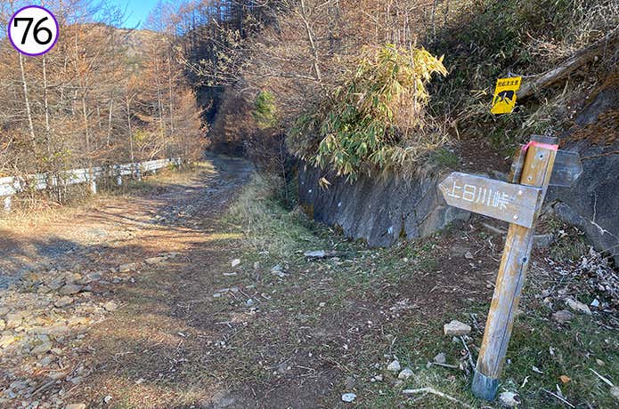 76.上日川峠への林道
