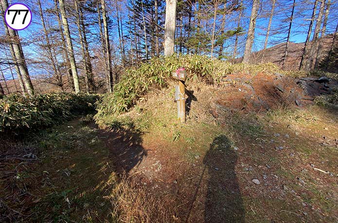 77.林道から登山道に入るポイント