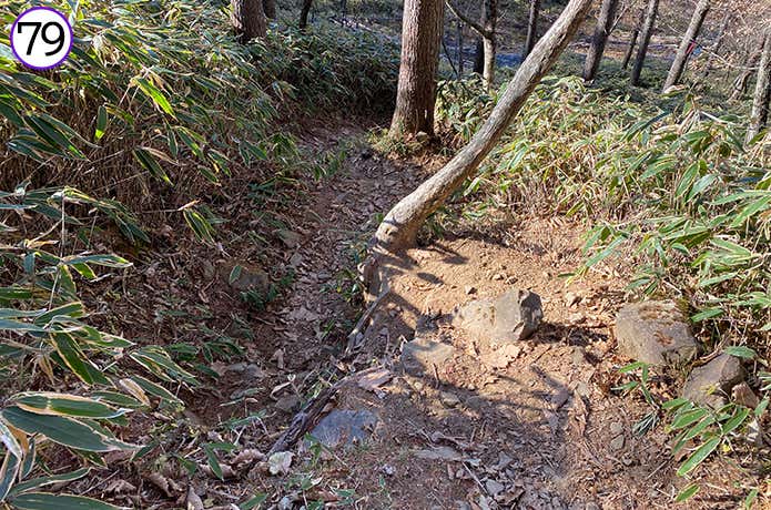 79.段差のある登山道