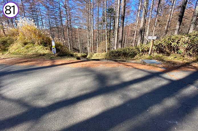 81.車道とバス停