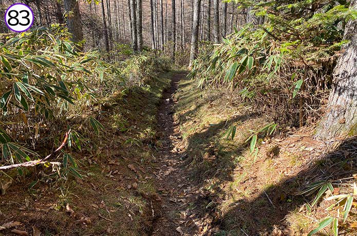 83.細くなっている登山道