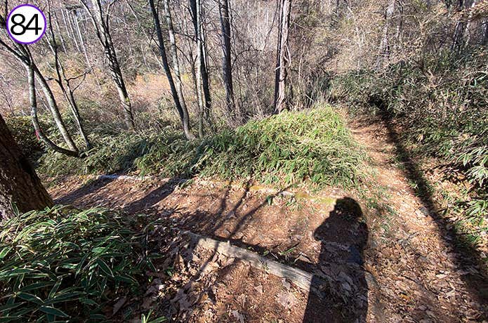 84.渡渉ポイントへの分岐