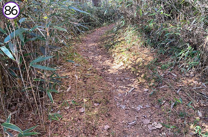 86.渡渉後の登山道