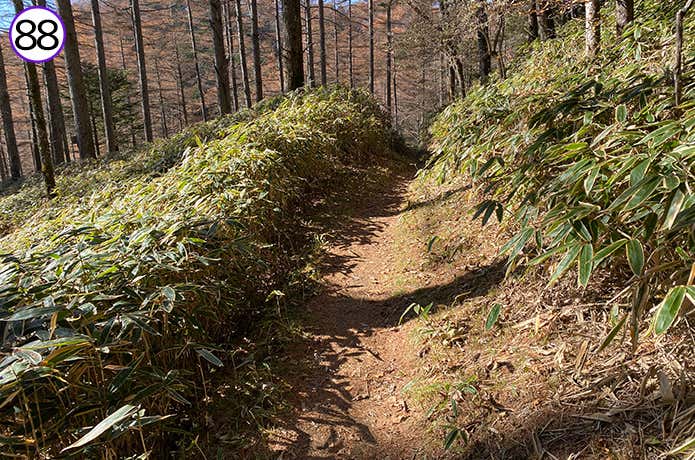 88.なだからな登山道