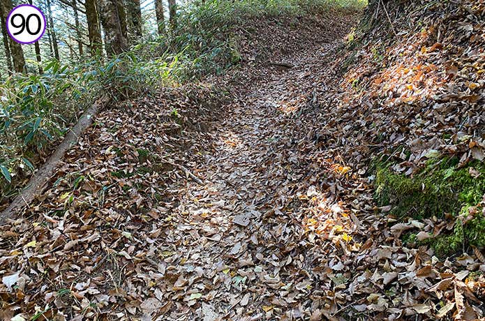 90.ゆるやかに登っていく登山道
