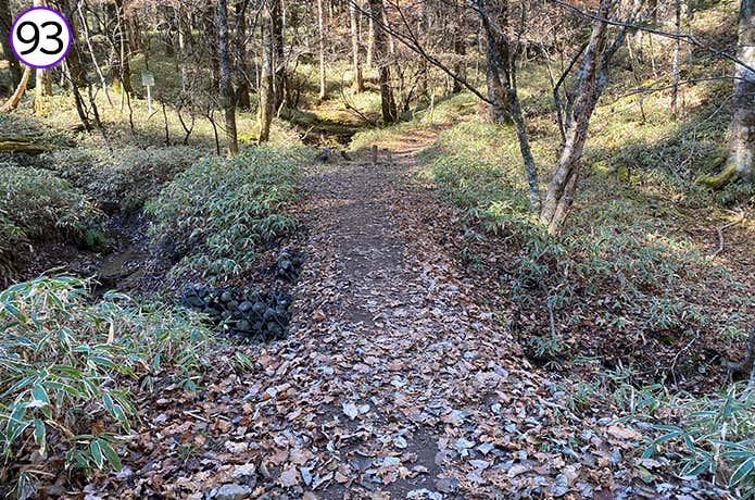 93.上日川峠手前の橋