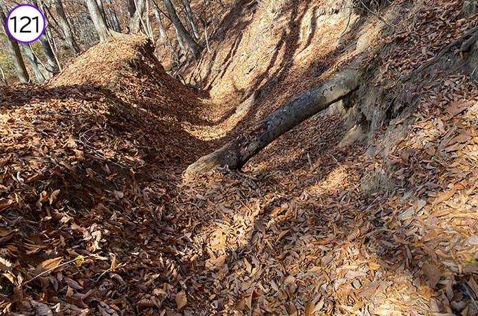 121.木の根が邪魔する登山道